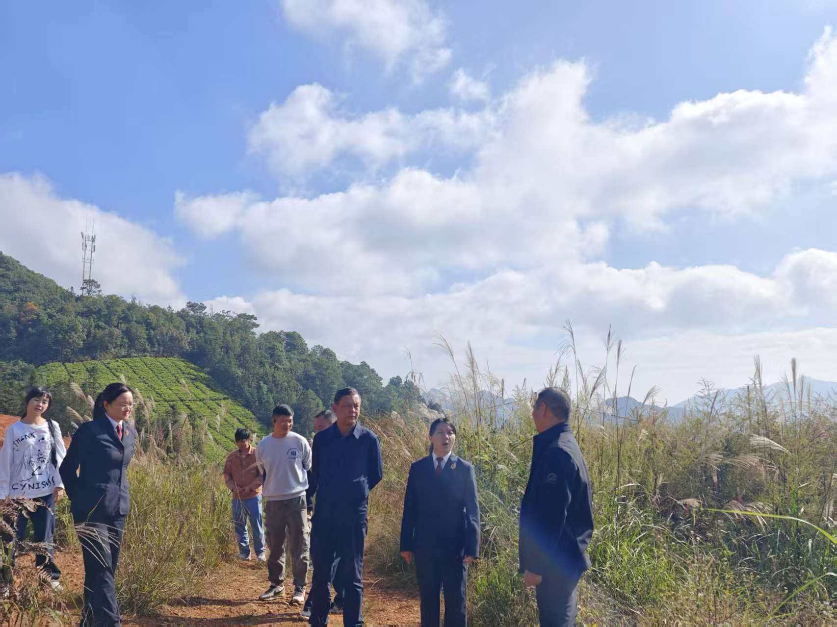 ɽԺڰ˼첿εԺָϼ칤